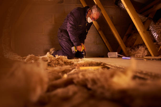 Best Residential Insulation in Lawrenceville, VA