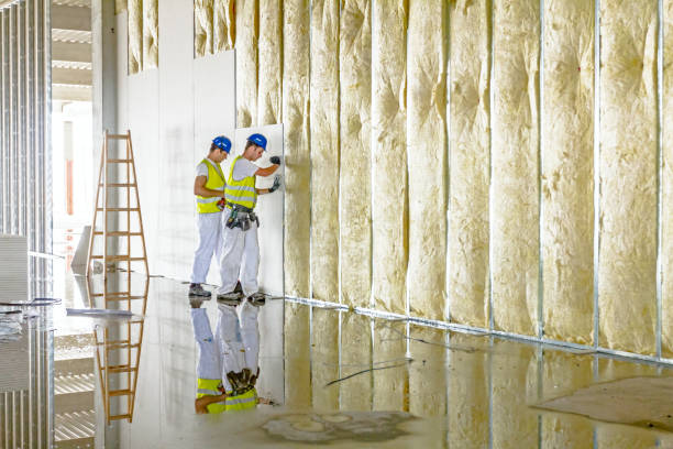 Best Insulation Maintenance and Repair in Lawrenceville, VA
